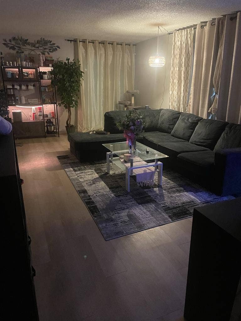 Looking for 3rd female Roomate