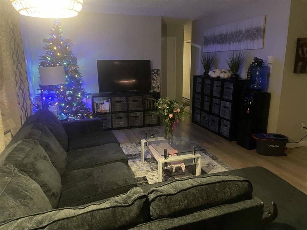 Looking for 3rd female Roomate