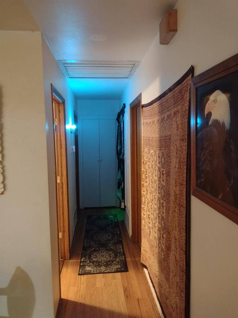 Shared Space Harvey Park