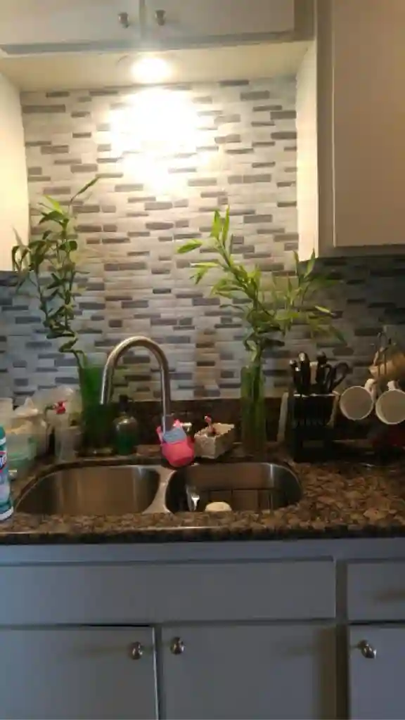 Room for rent (males preferred)