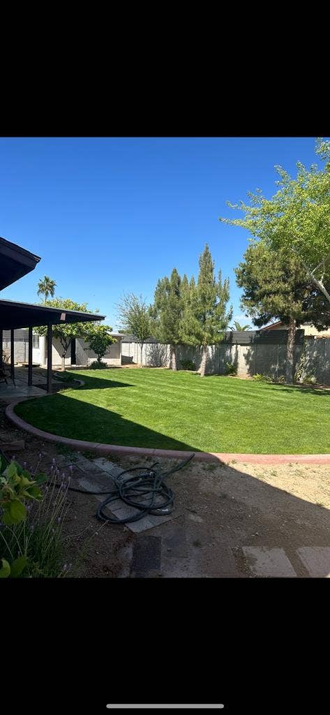 All female peace in North Phoenix