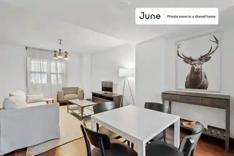 5 BR in Washington DC