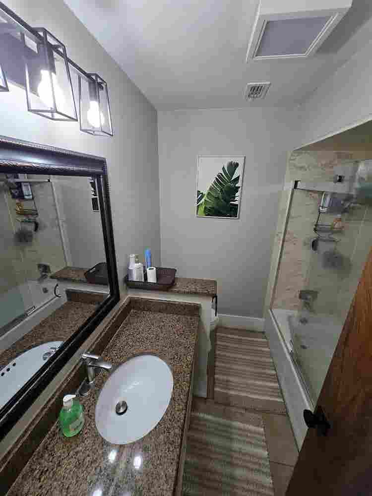 Professional & Creative Roomates