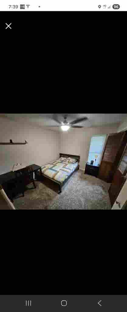 Professional & Creative Roomates