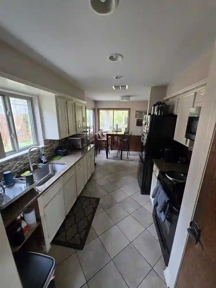 Professional & Creative Roomates