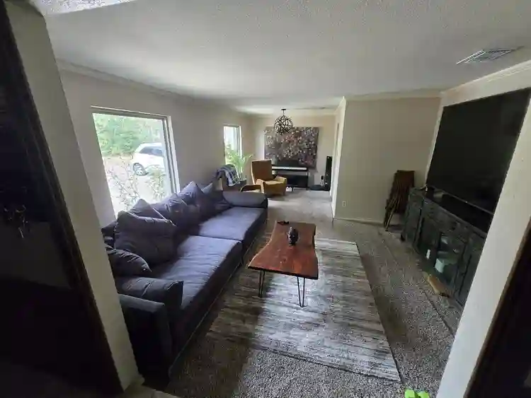 Professional & Creative Roomates