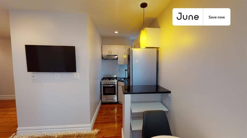 1 BR in New York City