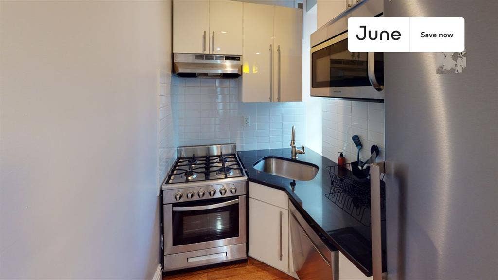 1 BR in New York City