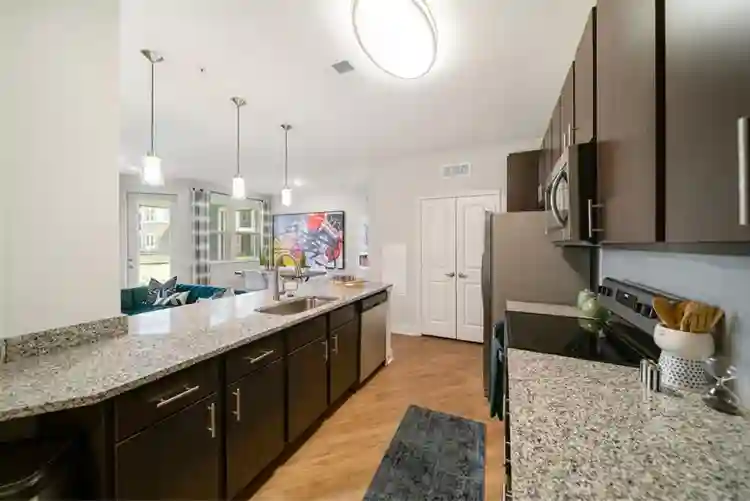 Lease Takeover - east apartment