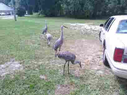 Downtown Kissimmee Studio Apartment