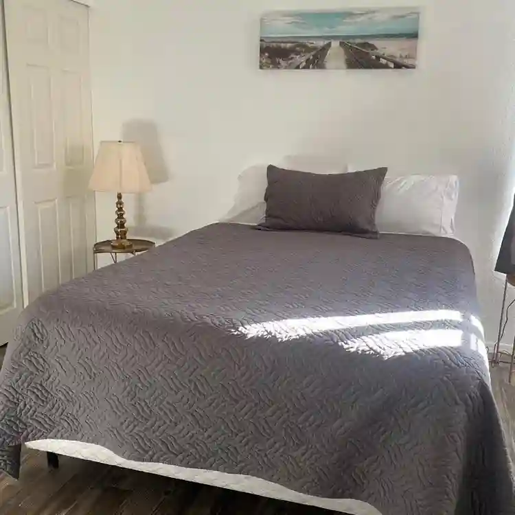 Looking for a Roomate.