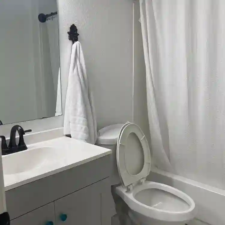 Looking for a Roomate.