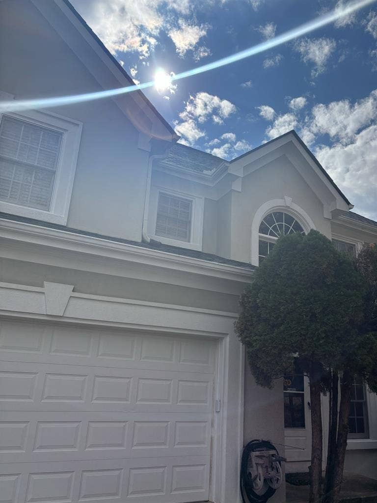 Looking for a dependable Roommatee