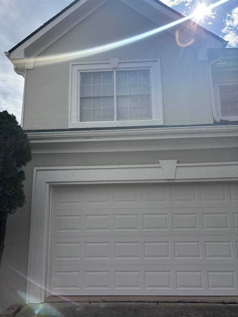 Looking for a dependable Roommatee