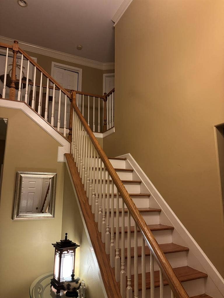 Looking for a dependable Roommatee