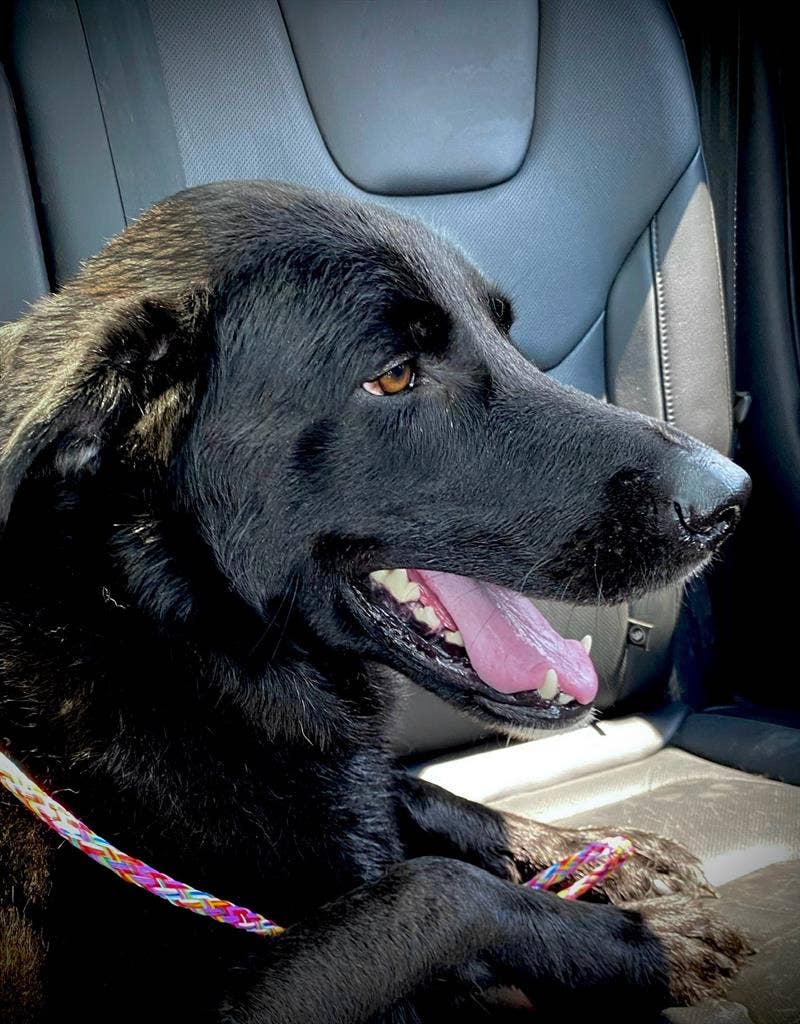 room available w full bath