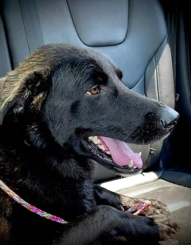 room available w full bath