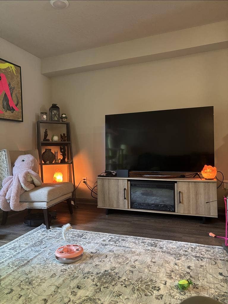 Quiet Young Female Roommate Wanted