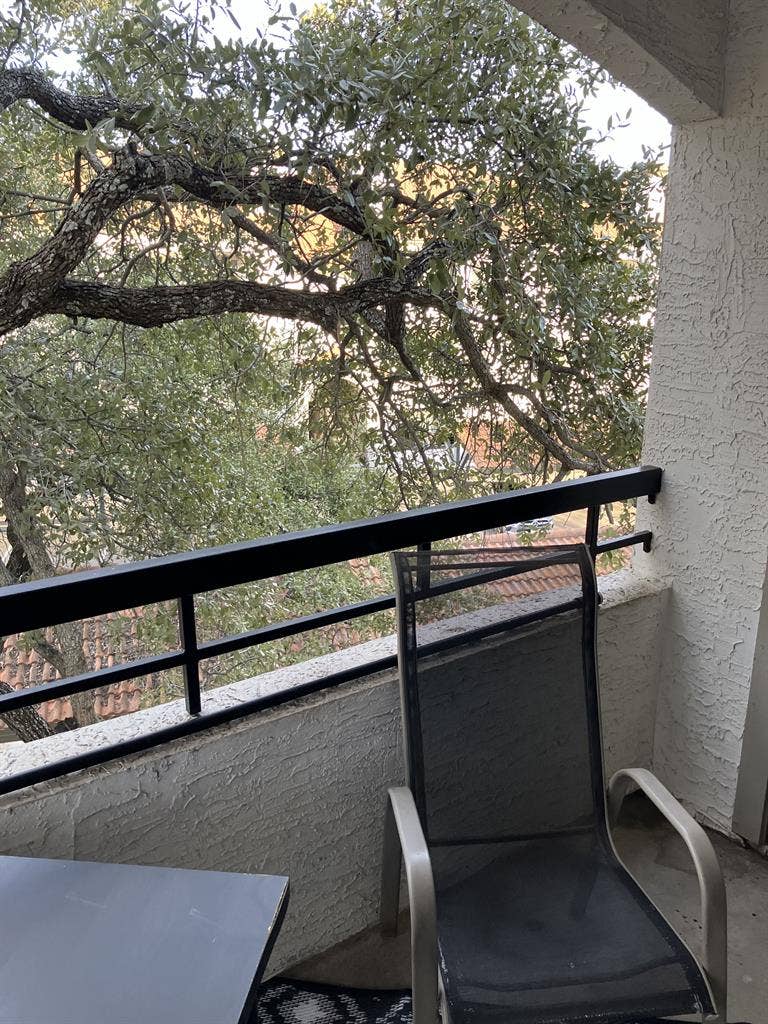 $ Room + pvt. bath - NW/Domain