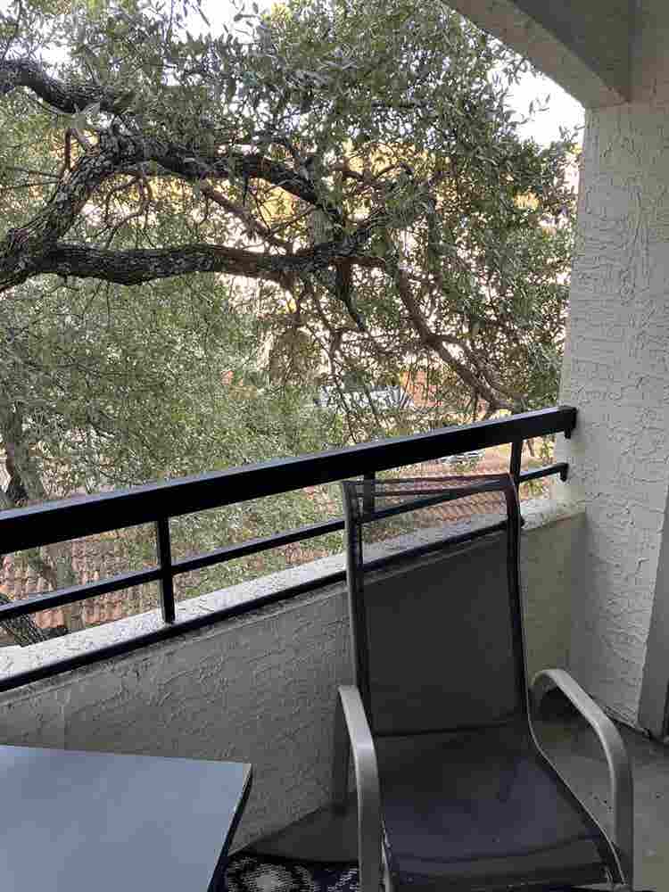 $ Room + pvt. bath - NW/Domain