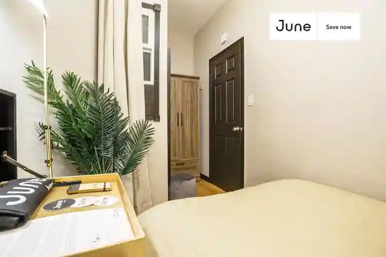 1 BR in New York City