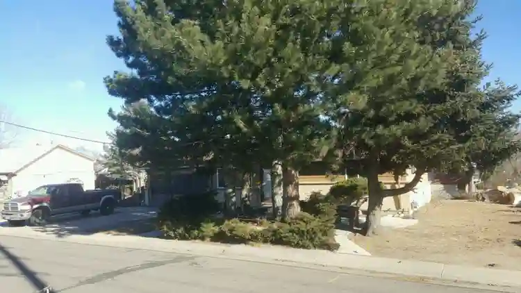 Cozy room in a lovely home