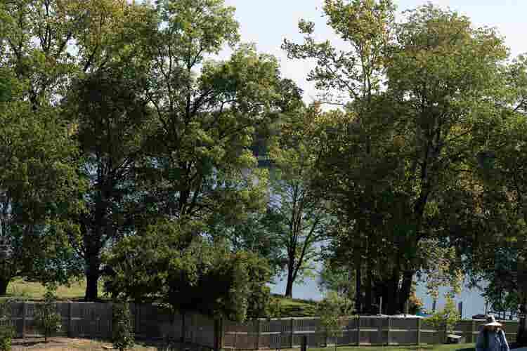 A high-scale apartment for rent