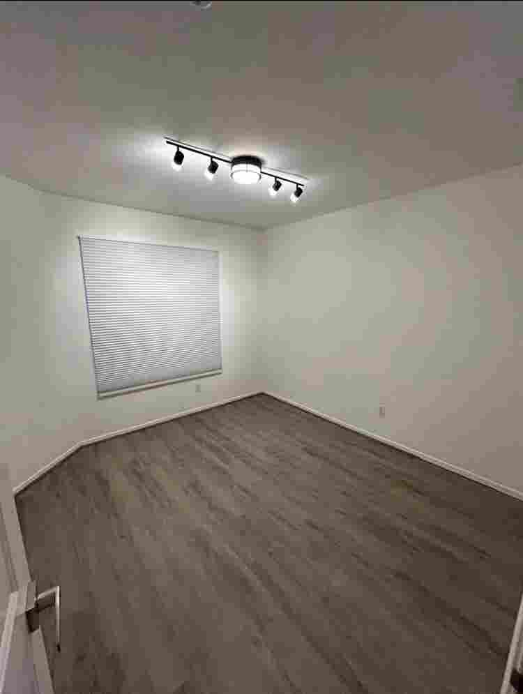 Looking for a female roommate!