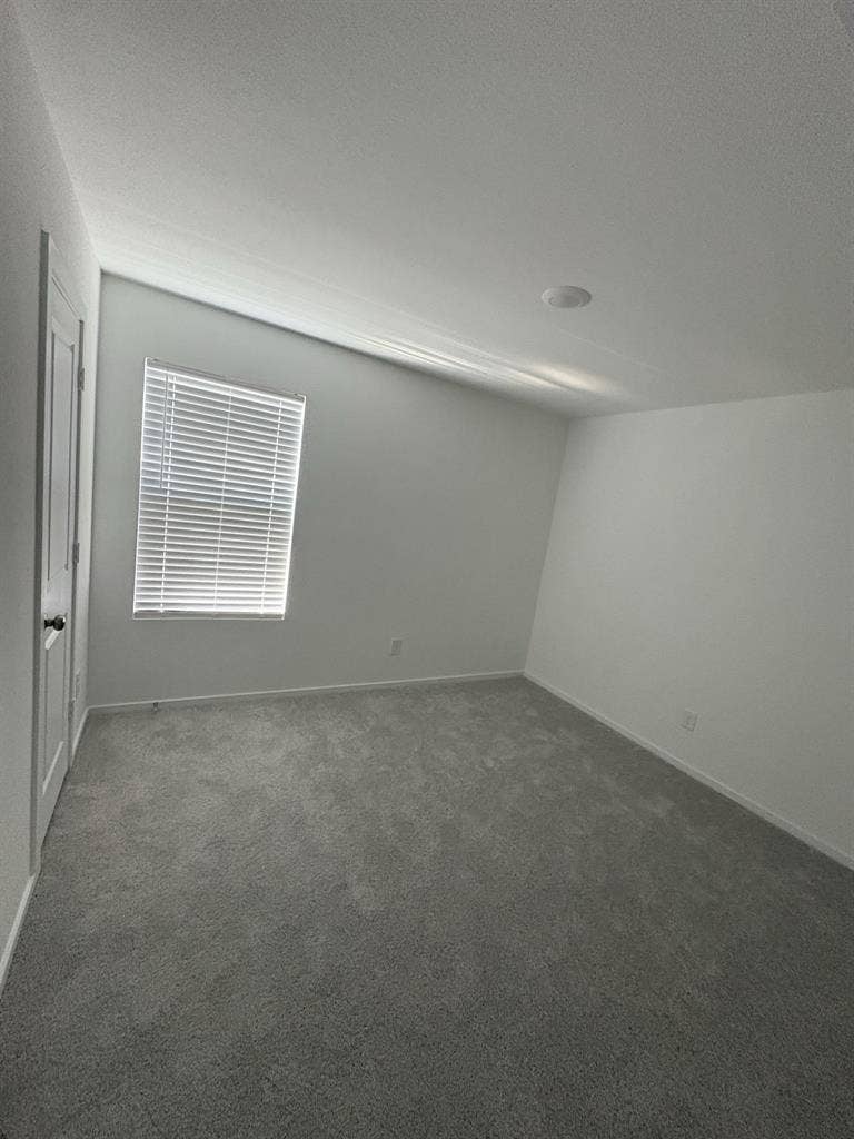 Looking for Roommate/Room for rent