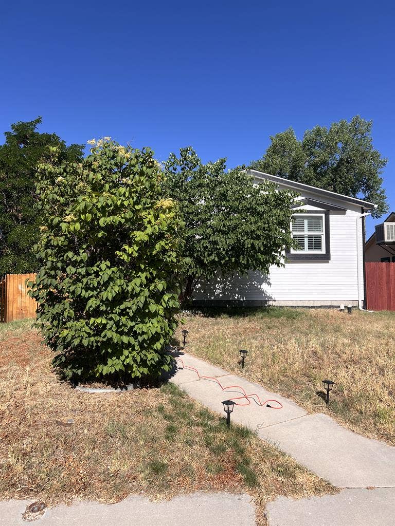 Giant house near Cherry Creek