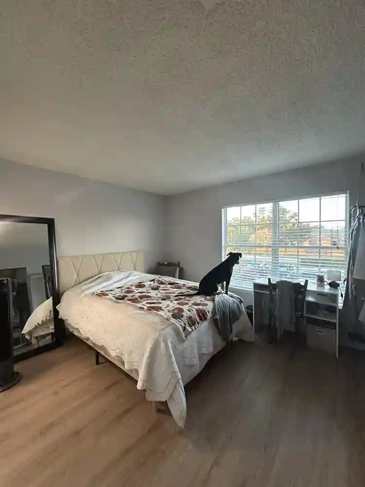 all inclusive room for rent