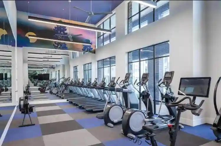 Great room in 3BR apartment!