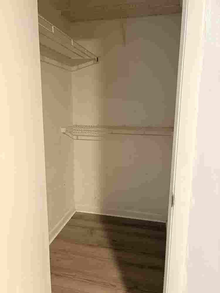 Room for rent near NCSU, Raleigh NC