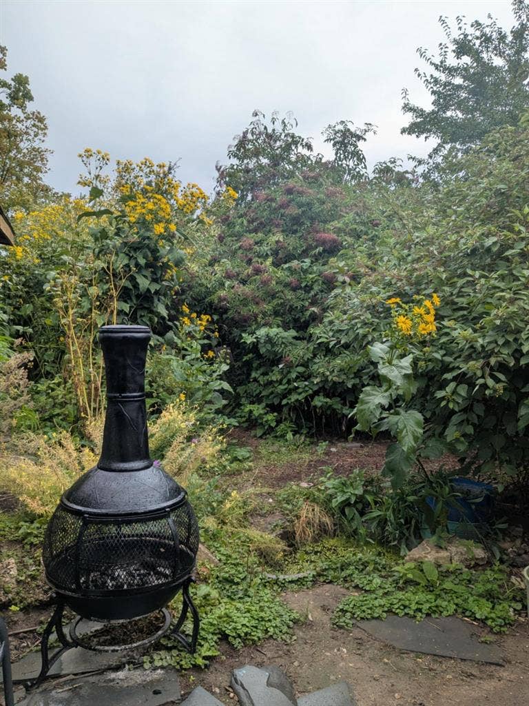 All Utilities Included $