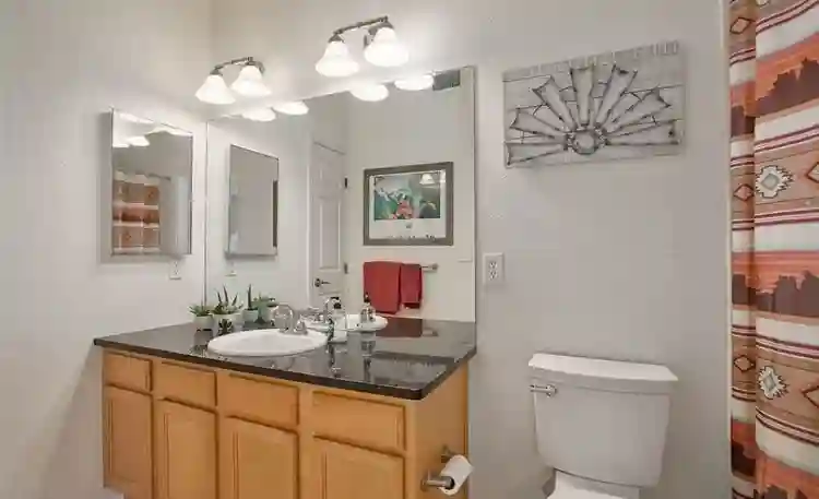 ISO middle-aged female roommate