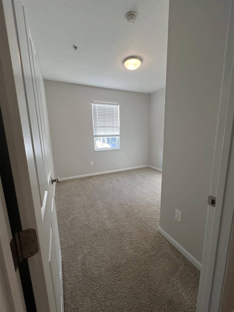 Lease Takeover - November RENT FREE