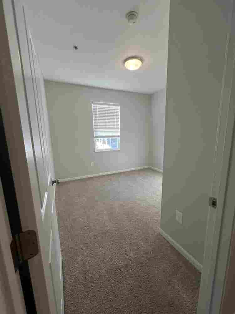 Lease Takeover - November RENT FREE