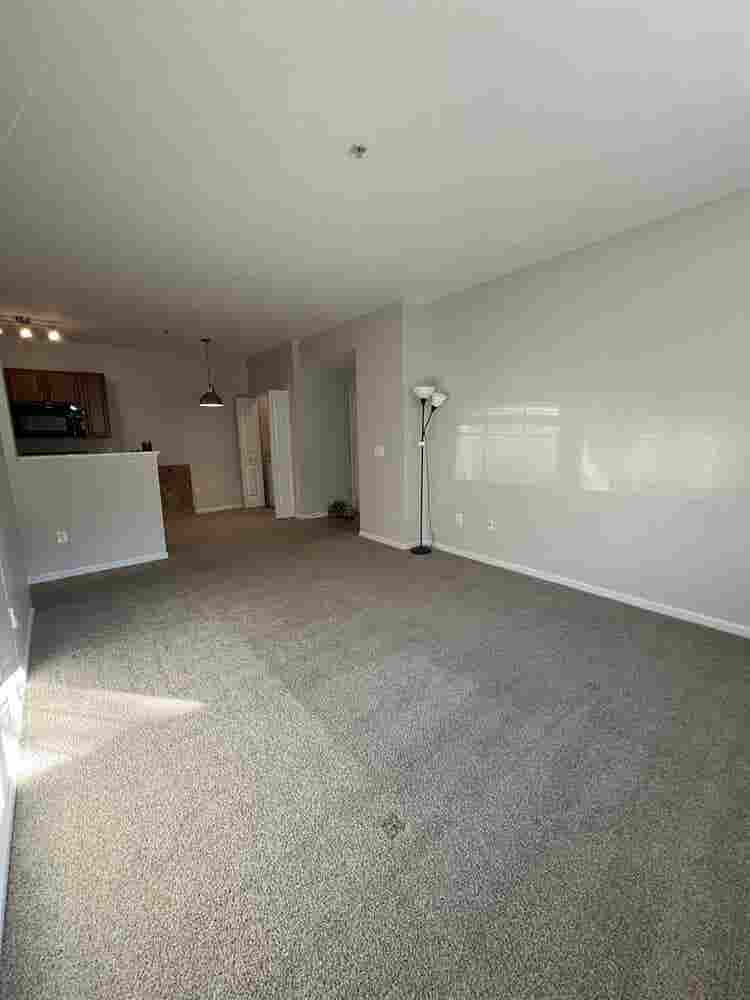 Lease Takeover - November RENT FREE