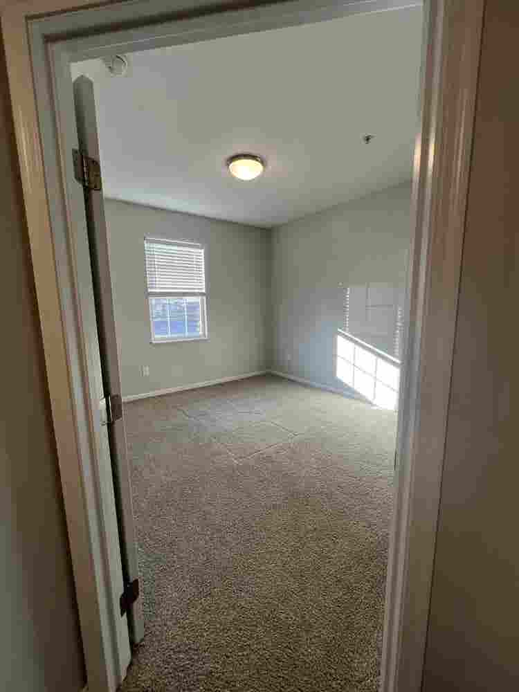 Lease Takeover - November RENT FREE