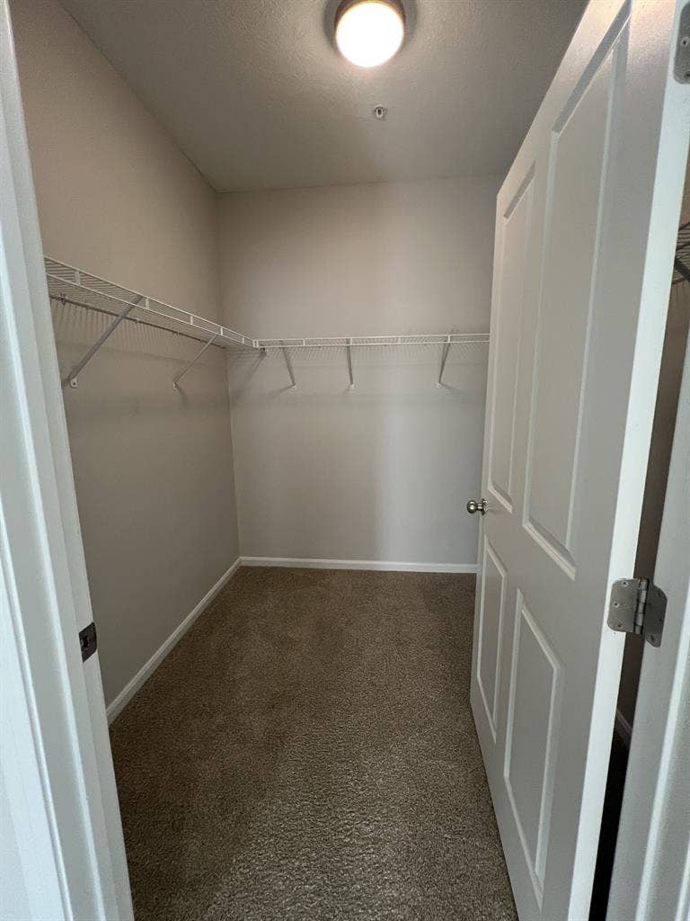 Lease Takeover - November RENT FREE