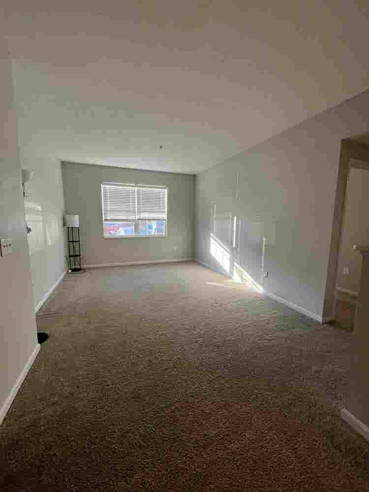 Lease Takeover - November RENT FREE