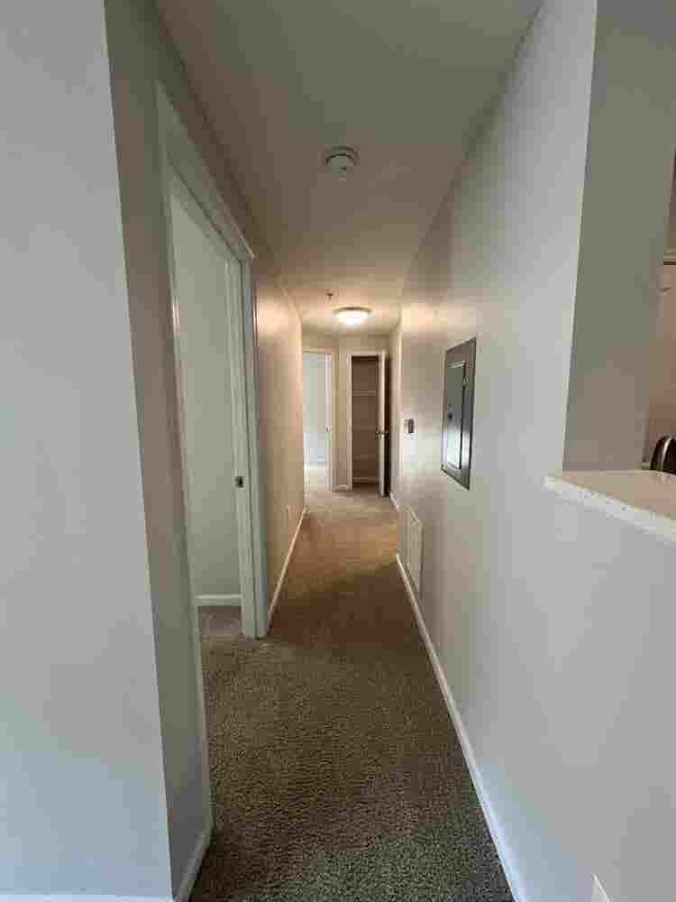 Lease Takeover - November RENT FREE