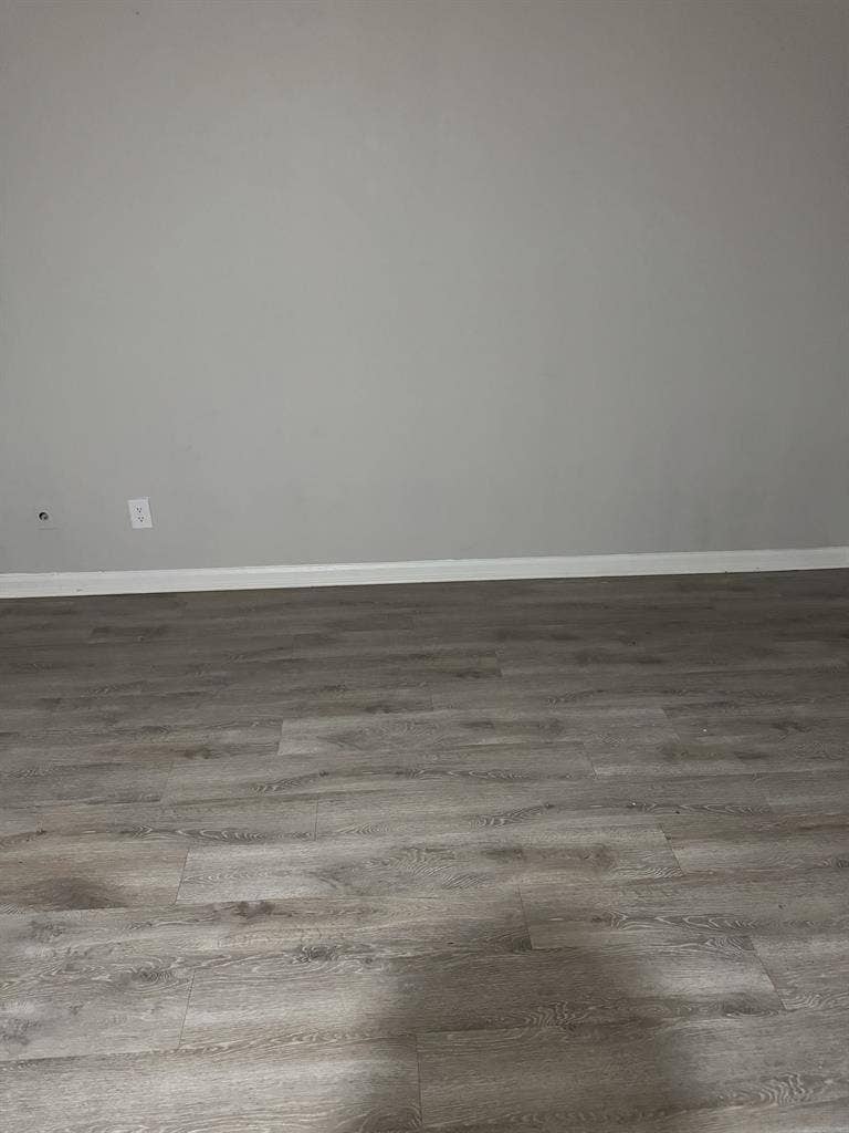 Roommate in Fern Park