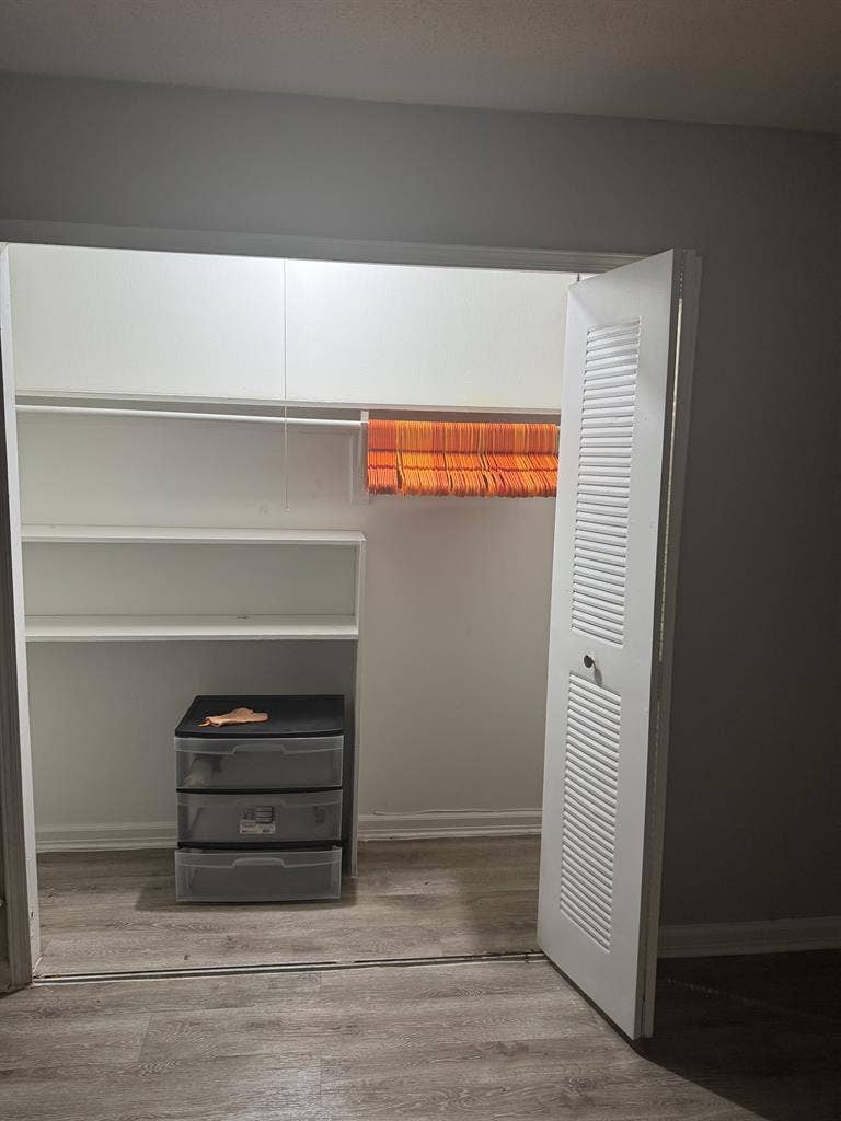 Roommate in Fern Park