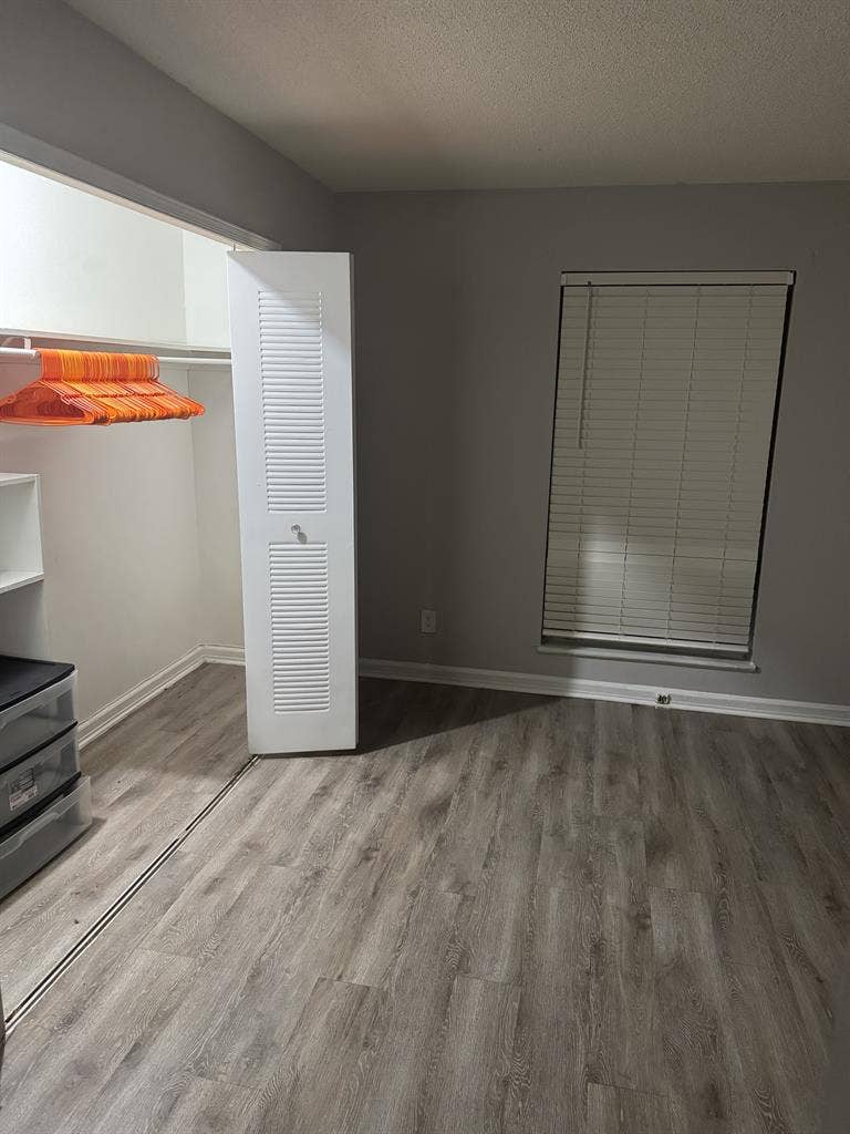 Roommate in Fern Park