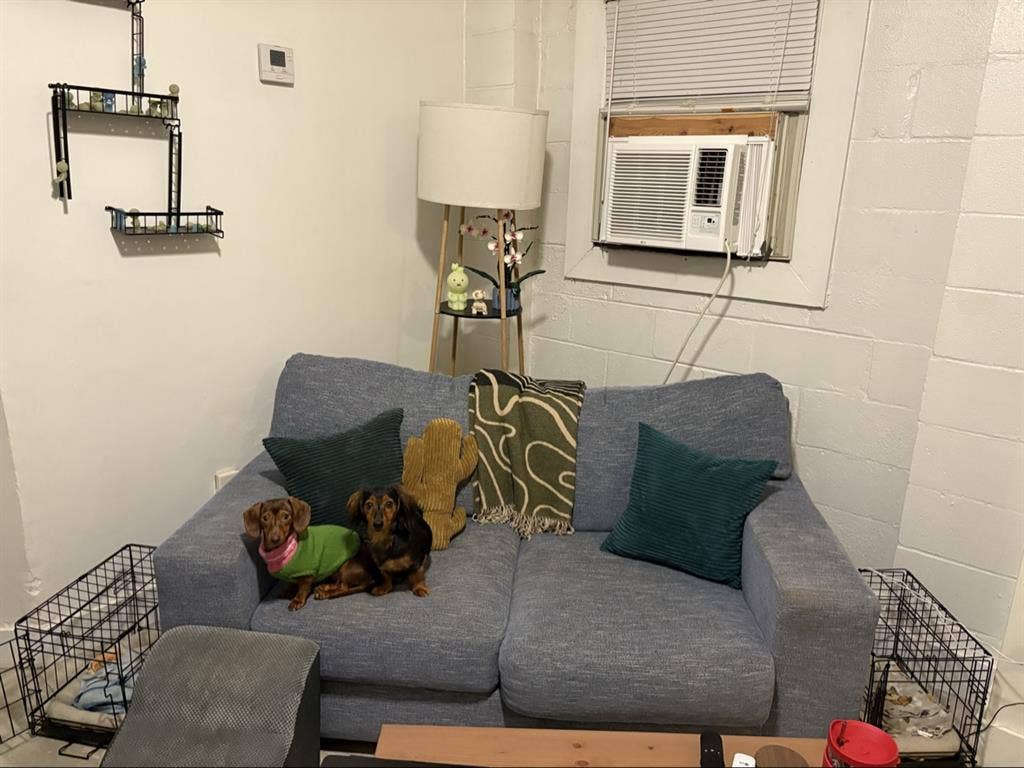 Sublease available for Dec-July