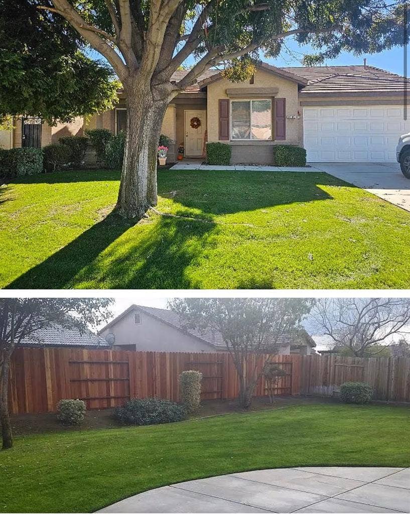 Looking for Roommate(s)