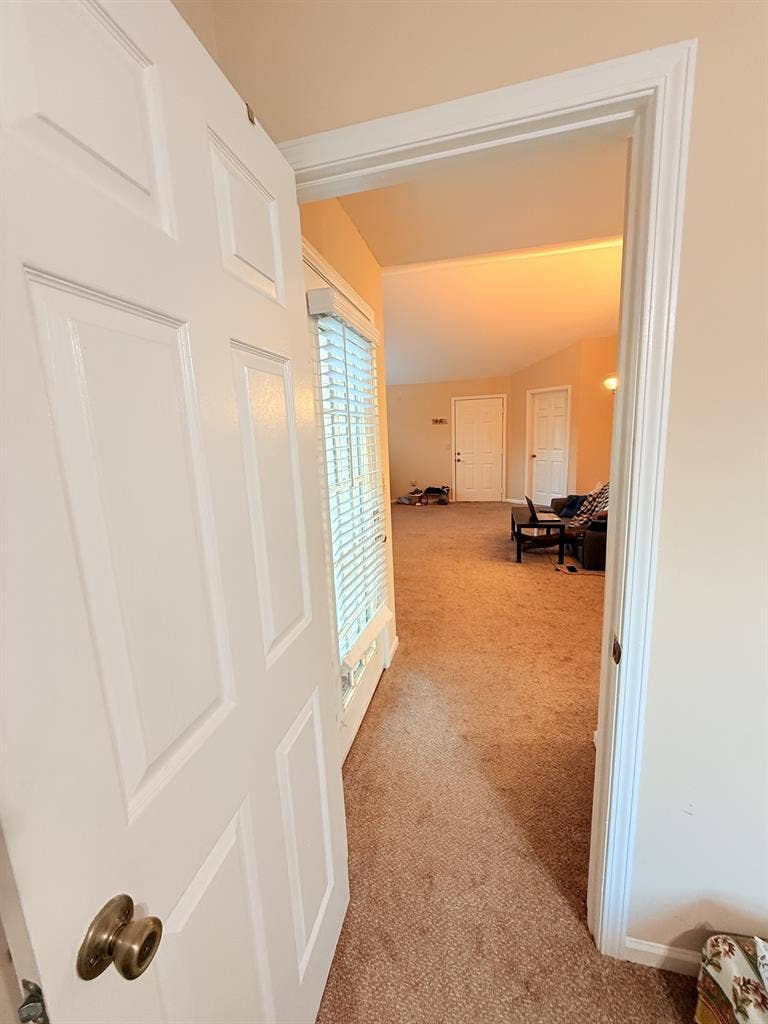 Looking for female rommmate