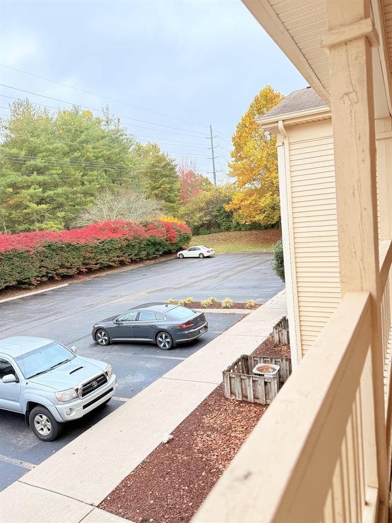 Looking for female rommmate