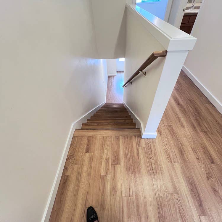 Looking for a roommate